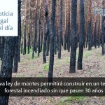 Nueva ley de montes permitirá construir en un terreno forestal incendiado sin que pasen 30 años