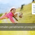 Animales penalmente protegidos