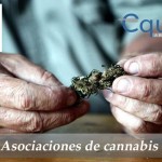 Asociaciones de cannabis